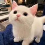 Avatar José Manuel Cárdenas